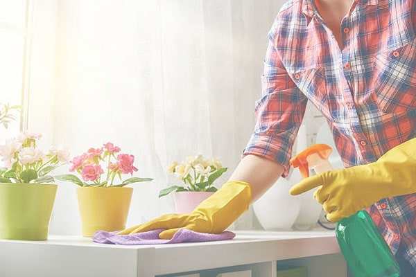 home cleaning assistance